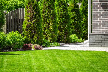 Tired of Weeds Taking Over Your Lawn? Here’s How to Keep It Spotless Year-Round