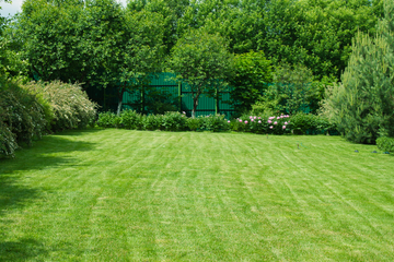 How to Get a Lush, Even Lawn Without Expensive Landscaping Services