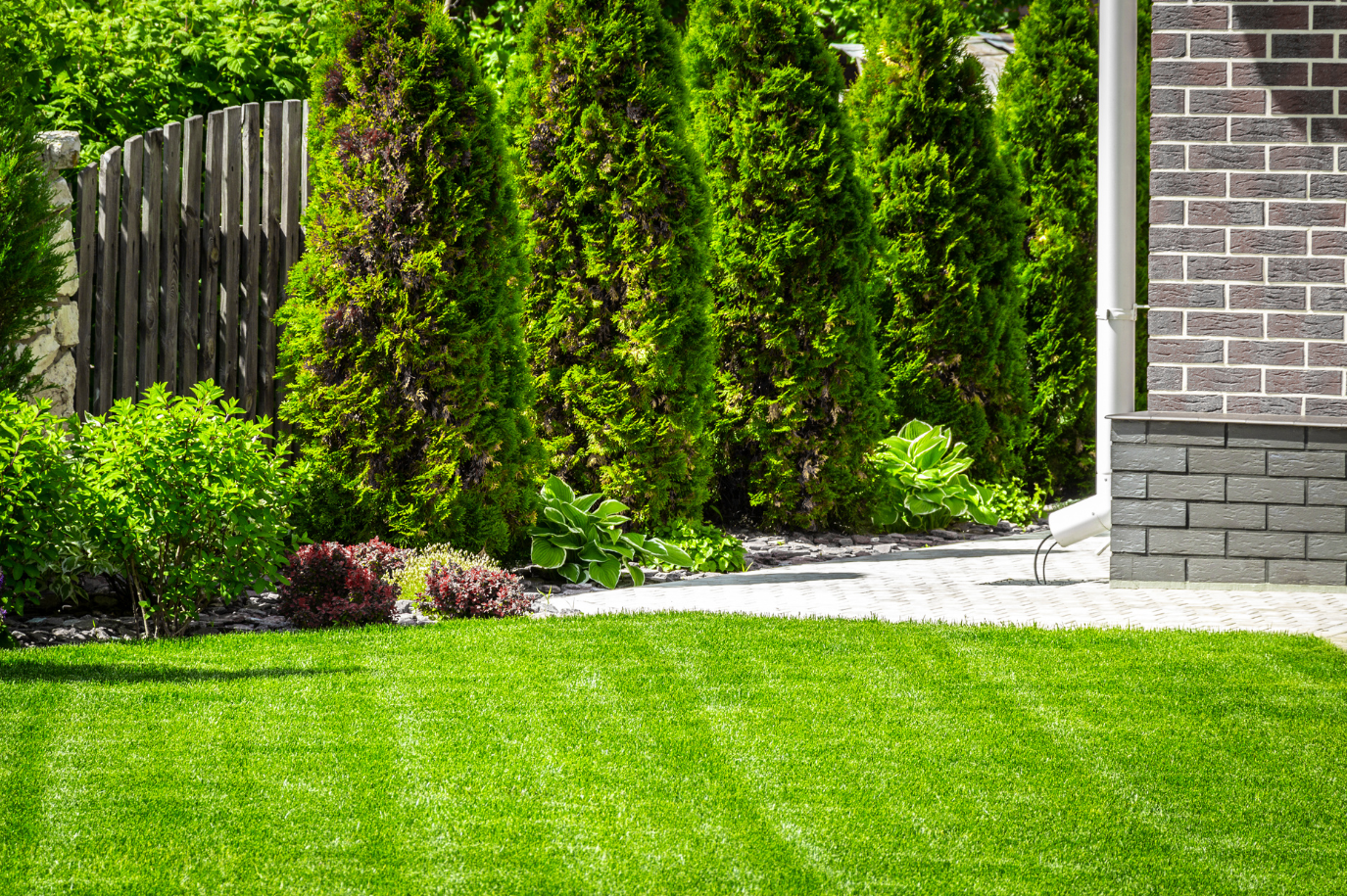 Tired of Weeds Taking Over Your Lawn? Here’s How to Keep It Spotless Year-Round