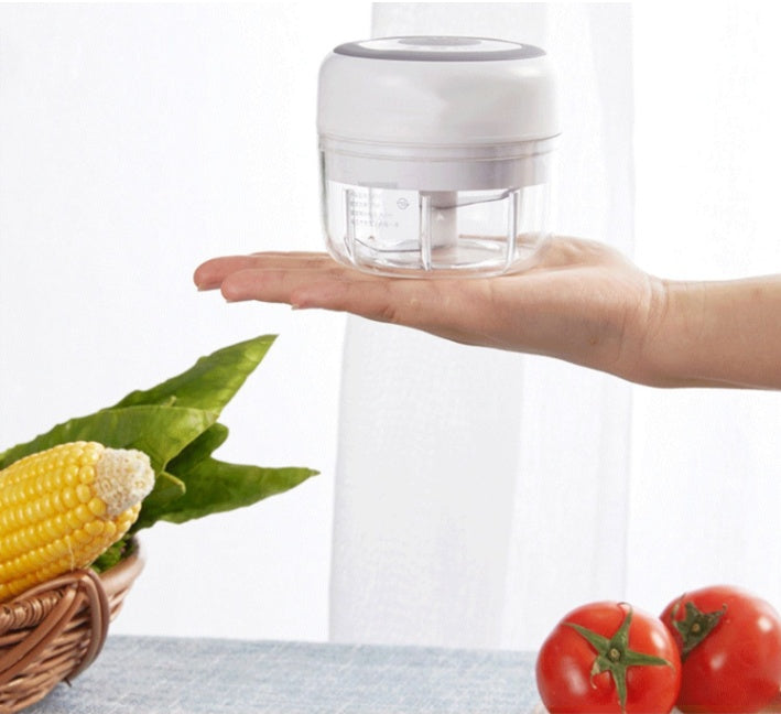 Portable Electric Garlic Crusher
