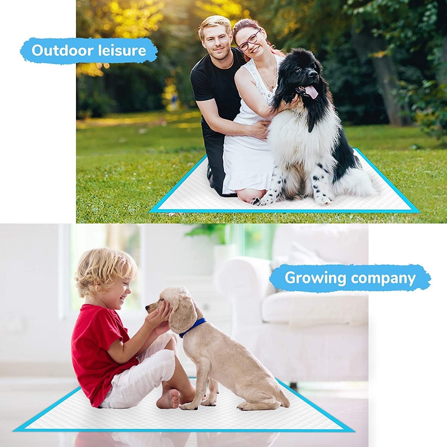 Super Absorbent Pet Training Pee Pads